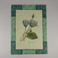 Арт постер репродукція "P.-J.Redouté "Блакитний лотос" 13*18см