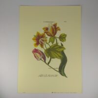 Арт постер репродукция картины "Тюльпан" 18*24см