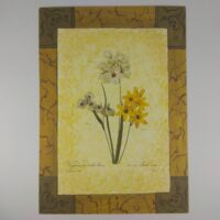 Арт постер репродукція "P.-J.Redouté "Vieufseuxie a Taches Bleues" 13*18см