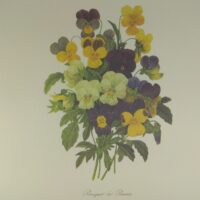 Арт постер репродукція "P.-J.Redouté "Букет фіалок трикольорових" 18*24см