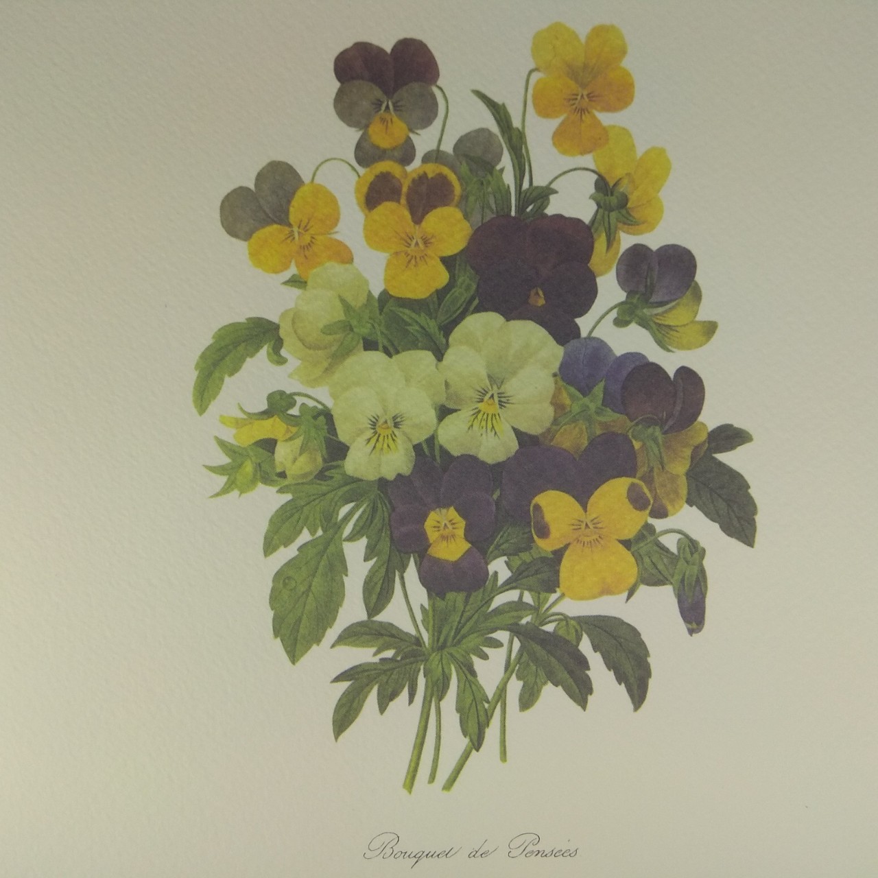 Арт постер репродукція "P.-J.Redouté "Букет фіалок трикольорових" 18*24см