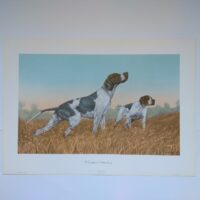 Арт постер репродукція "Sandro Nardini "Pointer" 50*70см