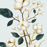 Картина за номерами КНО5682 Вишукана бавовна з фарбами металік 40*50см