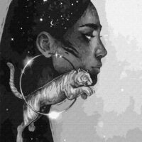 Картина за номерами КНО4970 Сузір'я тигра 40*50см