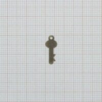 Монетки декоративные В069 антик 25шт 959