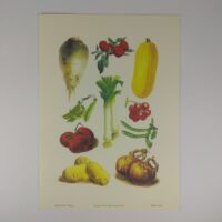 Арт постер репродукція "Vilmorin Andrieux"Vegetable №6" 13*18см