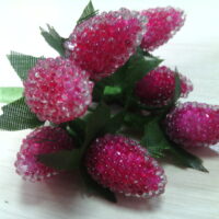 Ежевика малиновая 3452