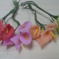 Кала пучок 144PC разная 5347