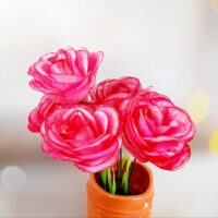 Троянда велика атлас F-29 №34 рожевий з кантом