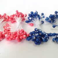 Тичинки середні на нитці брак