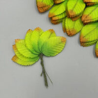 Лист 5см салатовый с коричневым 10шт 1218-1