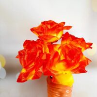 Троянда велика атлас F-69 №9 червоно-жовтий