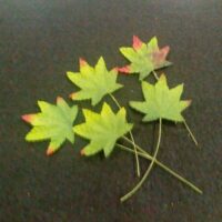 Листя клену Л1 зелено-помаранчеве 8*7см