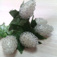 Ежевика белая 4443