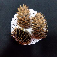 Шишка натуральная пихта 8-10см