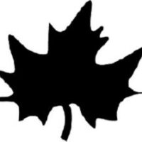 Золотая подкова ЗПН-041 Полуниця, схема под бисер Фото