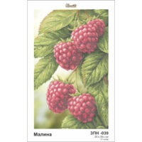 Золотая подкова ЗПН-039 Малина схема під бісер