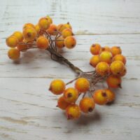 Ягода в цукрі 12см помаранчево-жовта пучок