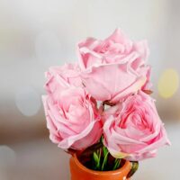 Бутон розы люкс розовый KS-37