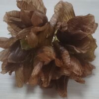 Роза коричневая пучок