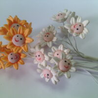 Ромашка мордашка