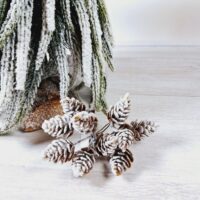 Декоративний пучок засніжених шишок 12см 839-415