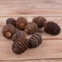 Шишки платиспернум коричневые №264