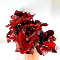 Троянда велика атлас F-69 №26 бордо