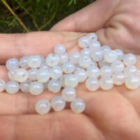 Намистини скляні 6мм 160шт Напiвпрозорий ЕД244