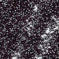 Бісер 23708 Preсiosa 10/0 фiолетовий з бiлим отвором 25г