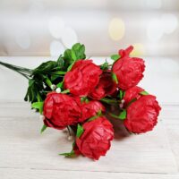 Букет півонії на 9 голів червоний SV-036