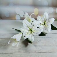 Гілка лілії 100см бiла НТ362/5