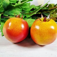 Гранат великий 8,5*8см НД01-004