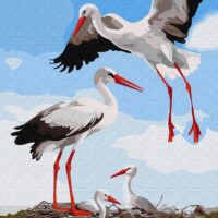 Картина за номерами КНО6603 Сім'я лелек 40*50см