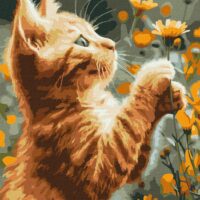 Картина за номерами КНО6607 Рудий пухнастик 30*40см