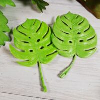 Лист Монстери 10см ЛМ1