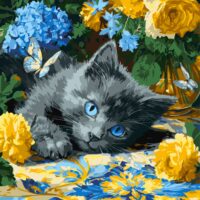 Картина за номерами КНО6795 Кошеня блакитнооке 40*40см