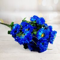 Букет гербери на 24 голови синiй SV-041