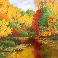 Маричка РКП-208 Осенний пруд, схема