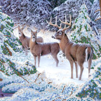 Маричка РКП-125 Зимние кружва, схема