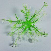 Добавка Розетка (підставка під квіти) зелена з білим 160мм 10шт D-41