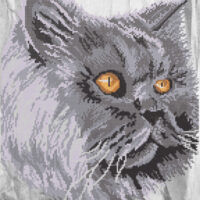 Маричка РКП-2-005 Кошачий взгляд, схема