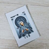 Virena А7Р-029 БМ Семистрiльна, схема для вишивки бісером