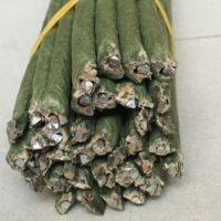 Флористические палки № 60/5