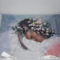 Принт Д-109 31см*47см А3+