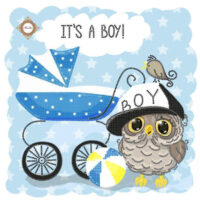 Миледи СЛ-4111 Метрика для мальчика, схема под бисер