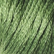 Муліне ДМС 3364 Pine Green - Сосновий