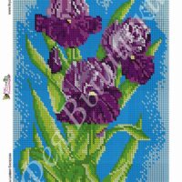 Фея Вышивки АП-26 Ирисы, схема под бисер