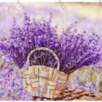 ДАНА-3428 Лаванда, схема под бисер