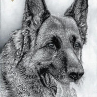 Миледи СЛ-3183 Мухтар, схема под бисер